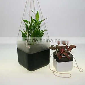 2016 New Indoor Home Decor Planter thumbnail-2