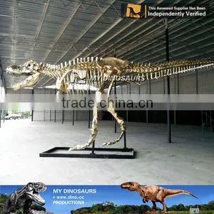 MY Dino-O11 Museum Replica Life Size Dinosaur Skeleton for Sale thumbnail-1