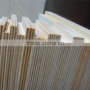 HPL Laminated Plywood 2 Sides E1 Grade thumbnail-3
