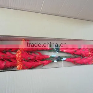 Silk Tropical Flower Red Flame thumbnail-1