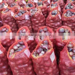 Fresh Red Onion thumbnail-1