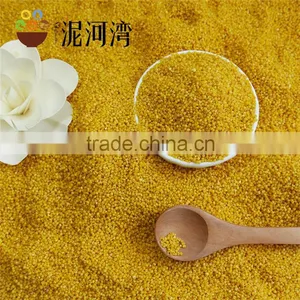 Millet Yellow Millet 2016 Crop High Quality Market Price thumbnail-5