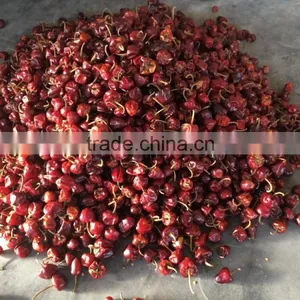 Round Chilli thumbnail-3