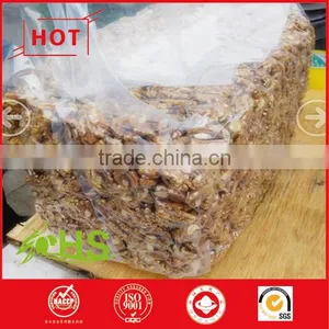 Light Pieces Walnut Kernels Vacuum Package for Export thumbnail-4