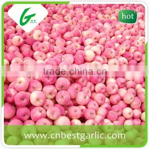 Naturally Sweet Fresh Fuji Apple From China thumbnail-5