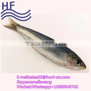 Sardines With Vegetable Oil thumbnail-1