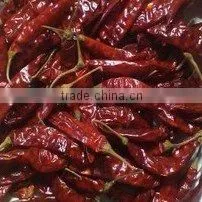 Red Chilli 334 With Stem thumbnail-6