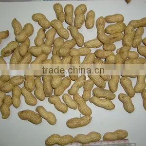 Shelled Raw Peanuts thumbnail-1