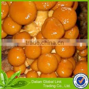Dalian Nameko Mushroom in Brine thumbnail-3