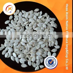 Shelled Shine Skin Pumpkin Seeds Kernels thumbnail-6