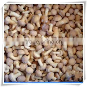 100% Natural China Health Food Mushroom thumbnail-6