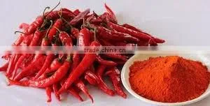 Chilly Powder Hot thumbnail-2