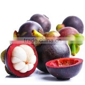 Kosher Certified HPLC 10%-98% Mangosteen Extract Mangostin 40% HPLC thumbnail-4