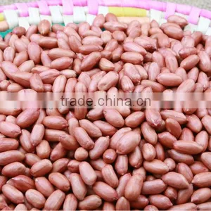 Chinese Raw Groundnuts Kernels thumbnail-1