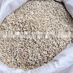 High Quality Sunflower Kernels NEW CROP thumbnail-4