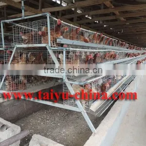 TAIYU Chicken Machine Clean thumbnail-1