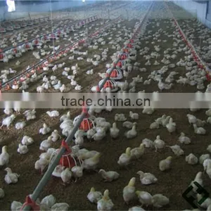 Poultry Feed Manufacturing Equipment for Broilers thumbnail-2