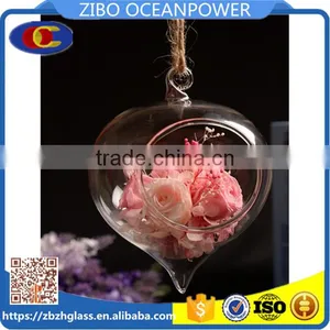 Clear Glass Vase Glass Landscape Bottle 2 Sizes Hanging Available thumbnail-1