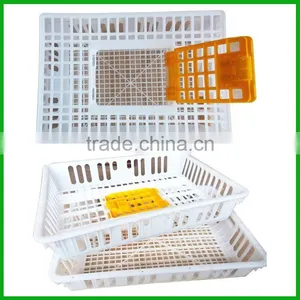 Good Quality Broiler Chicken Transportation Crate Made in China thumbnail-6