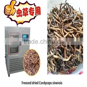 TPV-50F Silicon Oil Heating Lyophilizer Equipment For Food Fruit (0.7 Square Meter,drying Curve Display) thumbnail-4