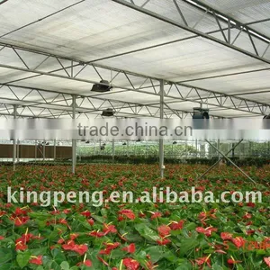 Glass Greenhouse for Agriculture Use thumbnail-1