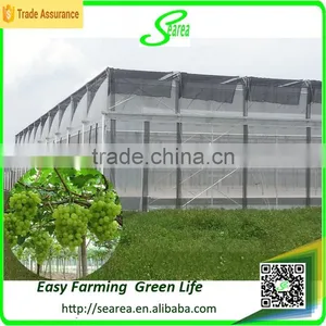 Modern Design Agriculture uv Coating Polycarbonate Greenhouse thumbnail-1