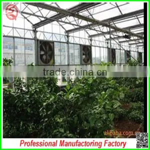 Large Muti-span Hydroponical Polycarbonate Sheet Greenhouses From China Manufacturer thumbnail-6