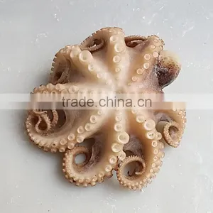 Frozen Boiled Baby Octopus Flower Galicia Seafood thumbnail-2