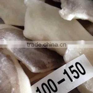 John Dory Fillet ( Zeus Faber ) thumbnail-1