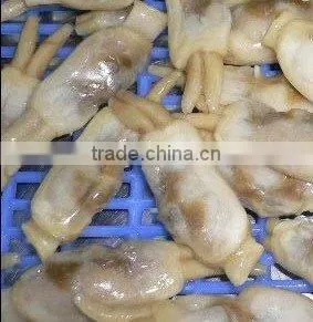 Frozen Best Sea Foods Razor Clam Meat thumbnail-1