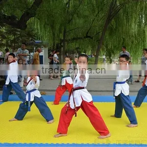 EVA Taekwondo Mat/ MMA Mat/colorful Tatami Mats thumbnail-2