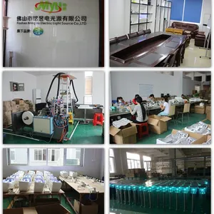 Foshan Ming Yu Electric Light Source Co., Ltd. company overview - view 1 thumbnail
