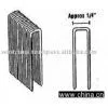 Staple Nails thumbnail-1