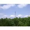 Mountain Top Tower thumbnail-1