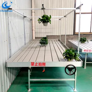Ebb and Flow Table Rolling Bench, Ebb and Flow Bench Grow Plants thumbnail-1