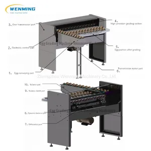 Egg Grading Machine Automaticr Egg Sorting Machine Egg Grader thumbnail-1