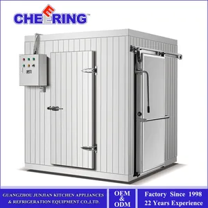 Vacuum Foaming Walk-in Cold Room Supply for Food thumbnail-1