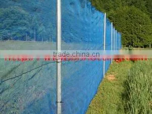 Blue Anti-wind Net thumbnail-1