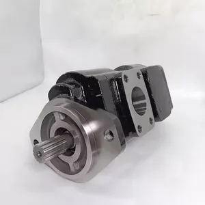 Hydraulic Gear Pump HPLPA114DDDG3G3B00 HPLPA114 HPLPA131 HPLPA148 HPLPA180 Series HPLPA114DDDG3G3B0 High Pressure thumbnail-4