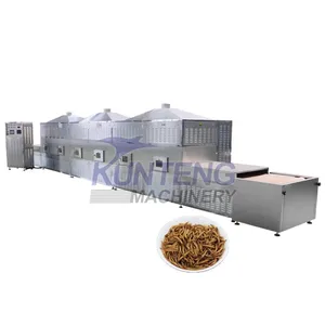 High Temperature Microwave Dryer for Bsf Larvae Insect Maggot Continuous Tunnel Microwave Drying Machine EPC thumbnail-1