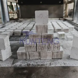 Uganda Charcoal Briquette Machine Automatic Coke Coal Dust Powder Briquette Pressing Bbq Charcoal Machine EPC thumbnail-5