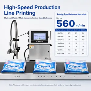 Detergent Powder Bag CIJ Printer for Date Code Batch Tracking and Flexible Packaging Applications thumbnail-2