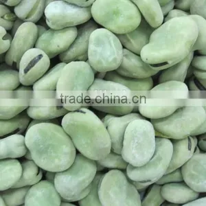 Frozen Broad Bean thumbnail-3