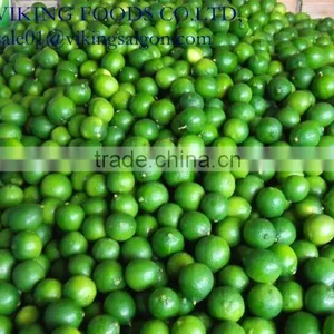 FRESH SEEDLESS LIME_GOOD QUALITY FROM VIET NAM thumbnail-1