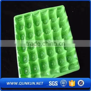 Buy Now Quail Eggs Tray Packing thumbnail-1