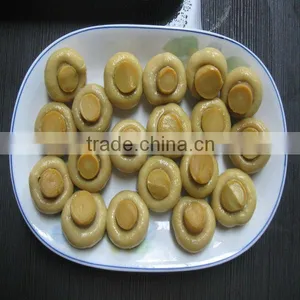 Canned Fresh Button Mushroom in Can thumbnail-3