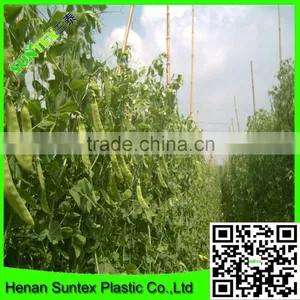 Support Peas Runner Beans & Sweet Peas Climbing Plant Support Mesh Net thumbnail-4