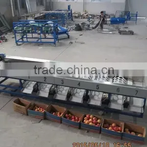Weight Sorting Grading Machine Line thumbnail-6