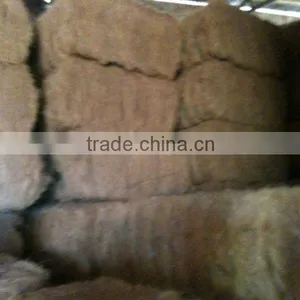 Coconut Fiber Grade A,B,C thumbnail-1