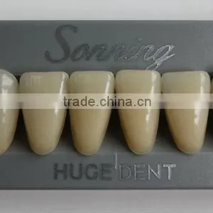 Huge Dental Sonning Full Set Acrylic Denture Teeth thumbnail-4